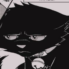 I have 20 pfps of this kid i love him Scourge Warrior Cats Pfp, Gothcore Pfp, Halloween Cat Pfp, Black Cat With Glasses, Cartoon Cat Pfp, Happy Pfp, Unique Pfp