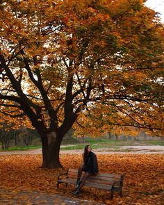 a woman sitting on a bench under a tree with yellow leaves in the fall season