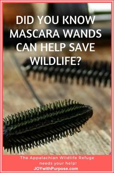 A Mascara Wand Can Help Save Wildlife through the Appalachian Wildlife Refuge #joywithpurpose #animalrescue #animals #makeup #upcycle #recycle Clean Mascara, Save Wildlife, Mascara Tips, Mascara Wands, Donate To Charity, Save The Planet, Active Lifestyle, Natural World