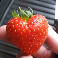 a hand holding a red strawberry with yellow dots