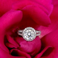 a diamond ring sits on top of a pink rose