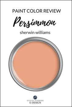 sherylin williams paint color review