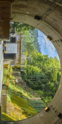 a train traveling through a tunnel next to lush green trees