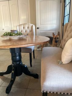 a dog is standing in the hallway next to a dining room table and chair set