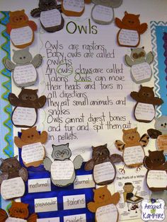 a bulletin board with owls and other animals on it