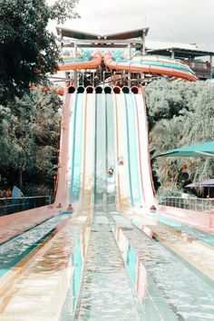 a large water slide with people on it and trees in the backgroung