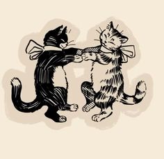 two cats playing with each other on a white background