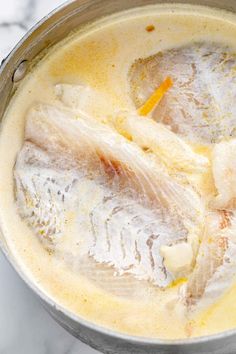 two fish fill the bottom of a pot filled with broth and spices on a marble counter top