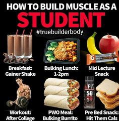 How To build Student in you? Muscle Meals, College Fitness, Healthy Weight Gain Foods, Food To Gain Muscle, Weight Gain Meals, Healthy High Protein Meals, Muscle Food, Healthy Weight Gain