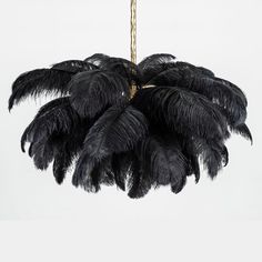 a chandelier with black feathers hanging from it