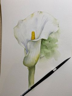 a watercolor painting of a white flower with yellow stamen on it's petals