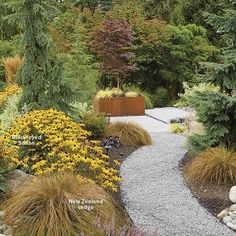 a garden with lots of plants and rocks on the ground, along with gravel paths