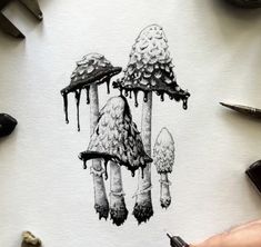 a drawing of three trees with dripping leaves