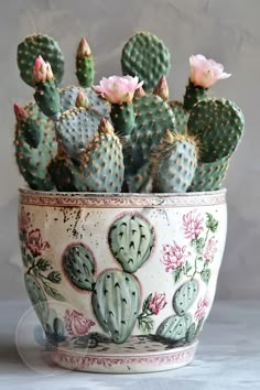 a potted cactus with pink flowers in it