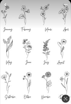 an image of flowers that are drawn in ink with the words spring written on them