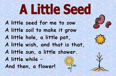 a little seed for me to sow a little soil make it grow a little hole, a little pat a little wish, and that is that a little suna