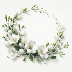 white flowers and green leaves are arranged in the shape of a circle on a white background