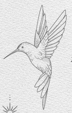 a drawing of a hummingbird in flight with the sun behind it and stars above