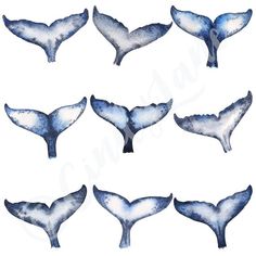 several images of blue whale tails on white paper with watercolor effect and black ink