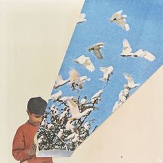 a young boy standing in front of a flock of birds flying over the top of trees