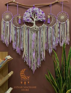 purple and white macrame dream catchers hanging on a wall next to a potted plant