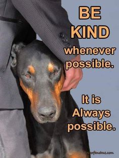 a dog is being petted by a man in a suit and tie with the caption be kind whenever possible it is always possible