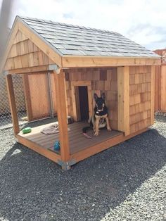 a dog is sitting in his kennel outside