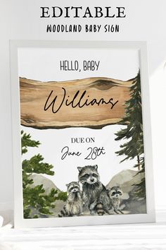 a baby shower sign with three raccoons on it