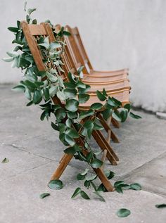 a bunch of wooden chairs sitting next to each other on the ground with green plants growing out of them