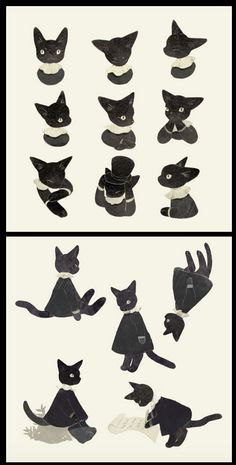 several images of black cats in different positions