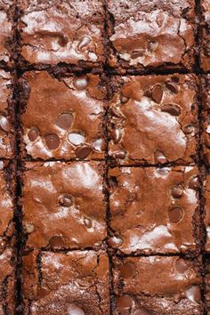 chocolate brownies with icing on top are arranged in rows