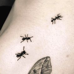 Ant Trail Tattoo, Ant Tattoo, Shoulder Blade Tattoo, Food Tattoos, Bug Tattoo, Insect Tattoo, Sweet Tattoos, Tattoo Design Ideas, Arm Sleeve Tattoos