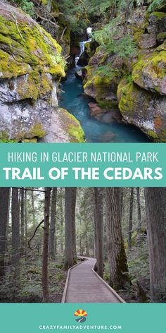 4 pictures showing the Trail of the Cedars hike in Glacier National Park. The trail, walking on a log, the waterfall and girl standing under a tree. Text reads: Hiking in Glacier National Park - Trail of the Cedars Waterfall Trail, Best Family Vacations, National Park Vacation, Park Trails