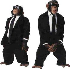 two monkeys dressed in black suits and sunglasses