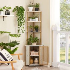 a living room filled with lots of plants next to a white chair and wall mounted bookshelf