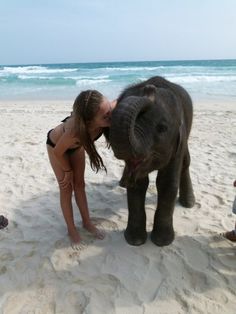 you can swim with elephants in Thailand! Added to my Bucket List!! Elephants In Thailand, Thailand Elephants, Real Estat, Elephant Love, See Yourself, I Want To Travel, An Elephant, To Infinity And Beyond, Future Travel