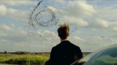 a man standing in front of a car looking at a flock of birds flying overhead