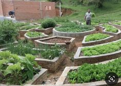 a man standing in the middle of a garden