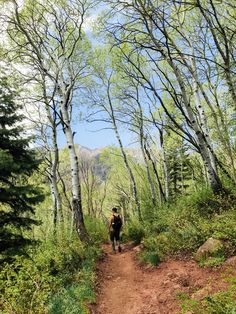 a person walking down a trail in the woods