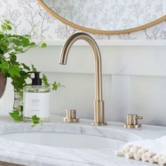 a bathroom sink with a plant and soap dispenser on the counter next to it