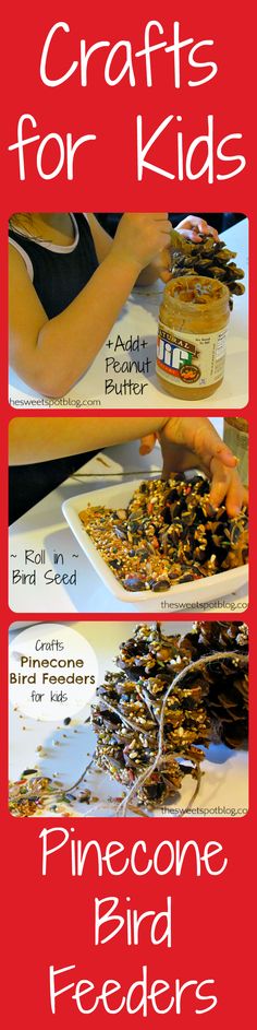 three different pictures showing how to make pinecone bird feeders for kids and adults