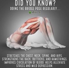 a poster with the words did you know? doing the bridge pose regularly stretches the chest, neck, and hips