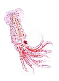 an octopus with pink and white designs on it's body