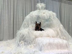 a dog sitting on top of a bed covered in white fabric and feathered material