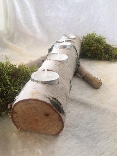 a wooden log with candles on it sitting in the snow next to some green plants