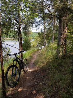 a bike parked on the side of a dirt road next to a forest filled with trees