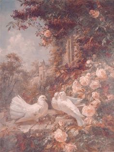 two white doves in a garden with roses