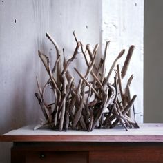 a bunch of branches sitting on top of a wooden table