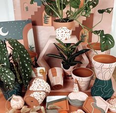 many pots and plants are on the table