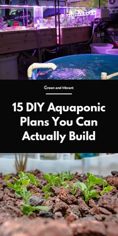 an aquaponic plant with the words 15 diy aquaponic plans you can actually build